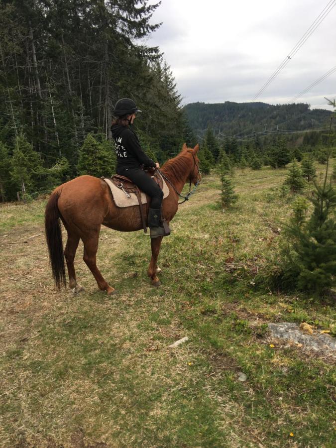 Maple Heart Ranch Villa Shawnigan Lake Ngoại thất bức ảnh