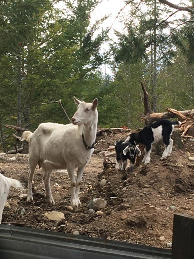 Maple Heart Ranch Villa Shawnigan Lake Ngoại thất bức ảnh